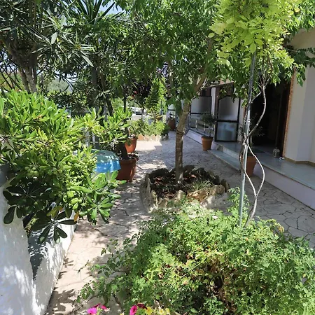 Dream Garden