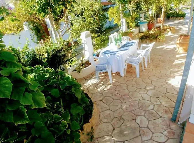 Dream Garden