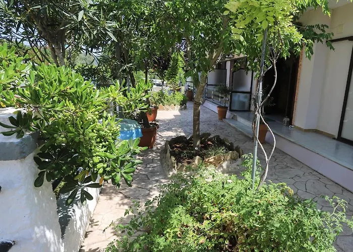 Dream Garden