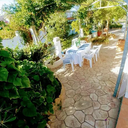 Dream Garden